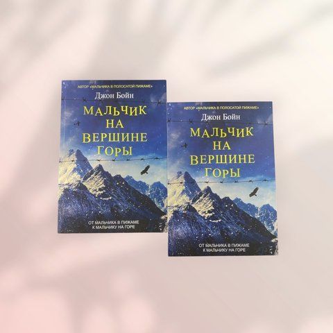 Мальчик на вершине горы Джон Бойн b01533 фото